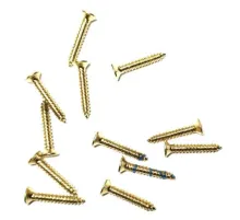 Klips, Menteşe, Ayak, Ağaç, Sunta Vidası 2,2x13 mm - Sarı 100 Adet