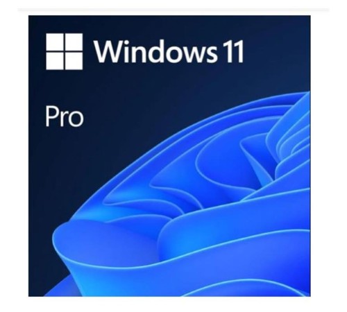 MS WINDOWS 11 PRO 32/64 BIT TR KUTU USB HAV-00159