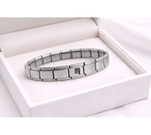 Çelik Nomination Bileklik Başak Burcu | Paslanmaz Çelik Burç Bilekliği | Zarif ve Şık Tasarım