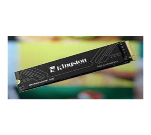 1 TB KINGSTON RENEGADE GEN5 M.2 2280 PCIE 5.0 X4 NVME SRNG2S/1T0