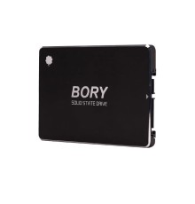 1 TB BORY SATA3 R500-C1T SSD 550/510 MBS (3 YIL GARANTİLİ)