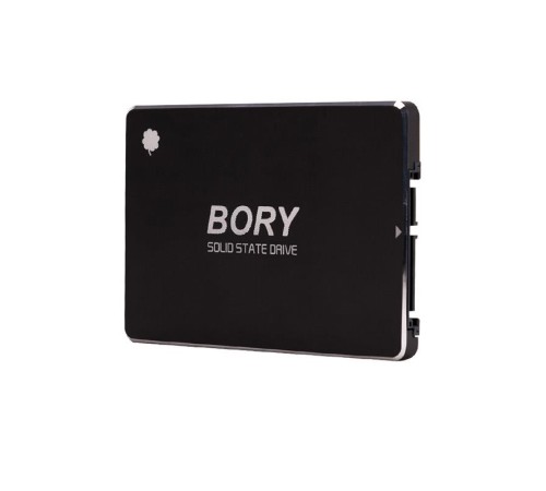 1 TB BORY SATA3 R500-C1T SSD 550/510 MBS (3 YIL GARANTİLİ)