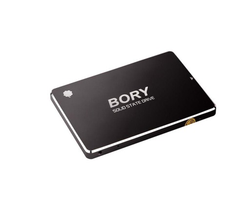 1 TB BORY SATA3 R500-C1T SSD 550/510 MBS (3 YIL GARANTİLİ)