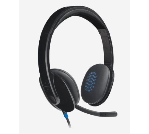 LOGITECH H540 USB SİYAH KULAKLIK 981-000480