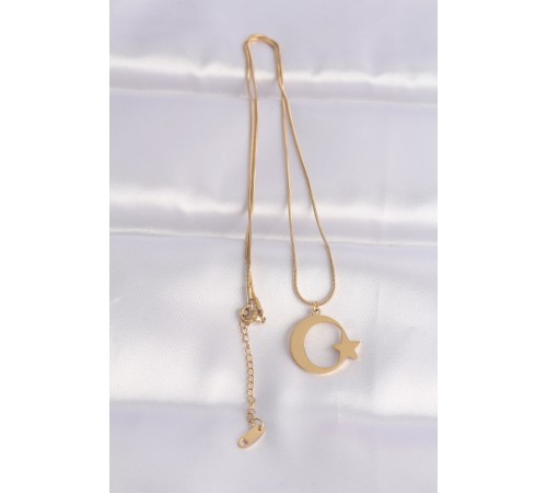 316L Çelik Zincir Gold Renk Ay Yıldız Unisex Kolye 316L Çelik Zincir Gold Renk Ay Yıldız Unisex Kolye