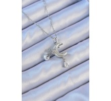 316L Çelik Zincir Gümüş Renk Zirkon Taşlı Kelebekli Mineli Ay Kolye