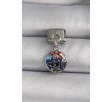 316L Çelik Gümüş Renk Sallantı Dünya Model Nomination Charm