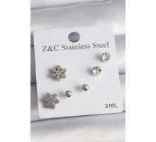 316L Çelik Gümüş Renk Zirkon Taşlı Kar Tanesi Model Kadın Küpe Seti