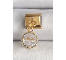 316L Çelik Gold Renk Sallantı Zirkon Taşlı Balina Model Nomination Charm
