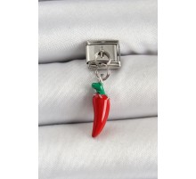 316L Çelik Gümüş Renk Kapya Biber Model Nomination Charm