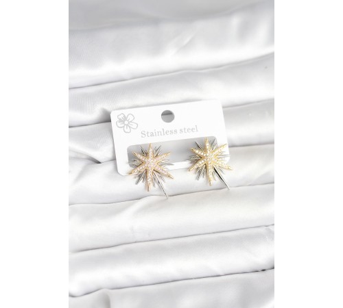 Pirinç Gümüş Renk Kutup Yıldızı Kadın Küpe