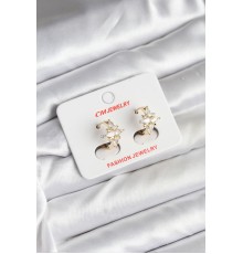 14K Gold Renk Kaplama Kutup Yıldız Zirkon Taşlı CM Kadın Küpe