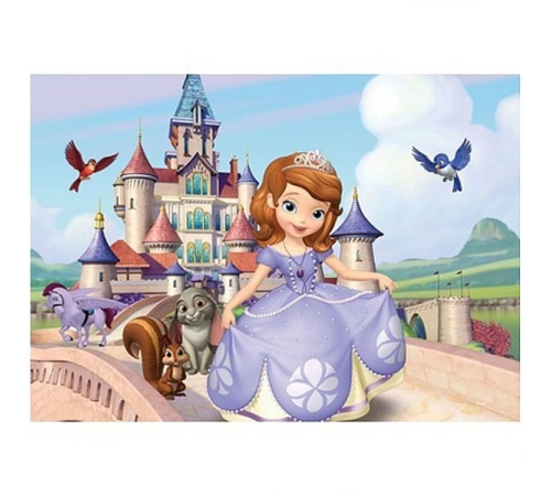 100 Parça Sofia Puzzle