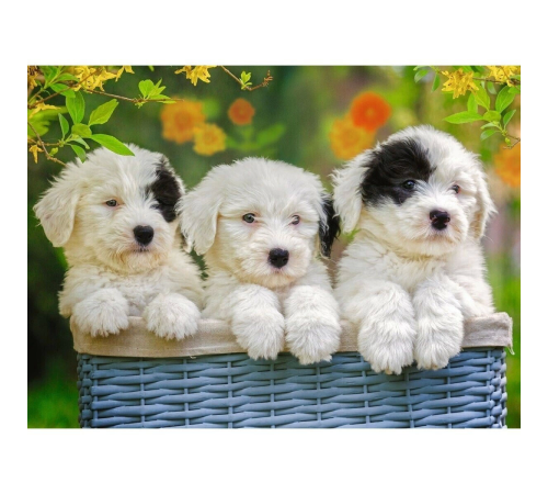 127658 Cuddly Puppies 200 parça XXL Ravensburger Puzzle 127658 Cuddly Puppies 200 parça XXL Ravensburger Puzzle