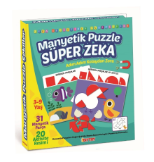 1536 DıyToy Manyetik Puzzle - Super Zeka / 31 Parça Puzzle / 3-9 yaş