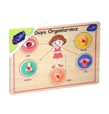 166/167 Onyıl, Ahşap Tutmalı Organlar