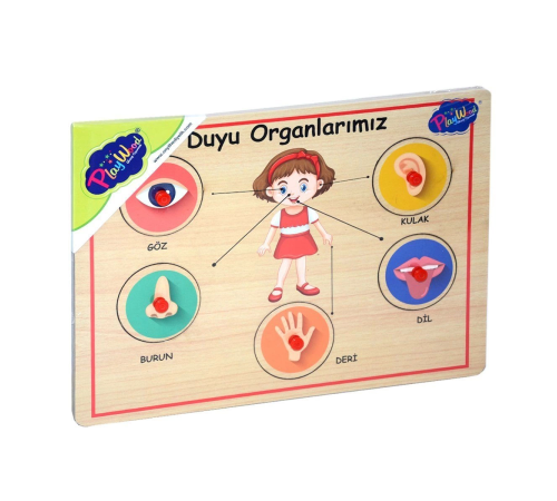 166/167 Onyıl, Ahşap Tutmalı Organlar 166/167 Onyıl, Ahşap Tutmalı Organlar
