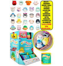 2 Adet Micromallows MC Squishmallows Sürpriz Mini Yumuşak Peluş Oyuncak Figür 2 Adet