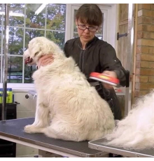 23 KG Üzeri Uzun Tüylü Köpekler İçin Tüy Toplayıcı Ergonomik Tarak