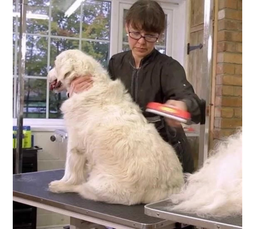 23 KG Üzeri Uzun Tüylü Köpekler İçin Tüy Toplayıcı Ergonomik Tarak