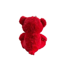 30 CM AY YILDIZ TEMALI AYICIK -HLY