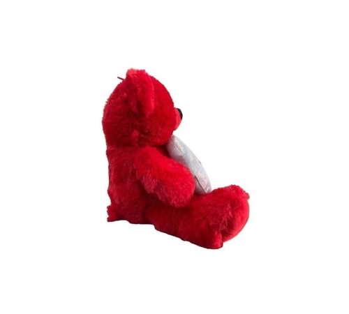 30 CM AY YILDIZ TEMALI AYICIK -HLY