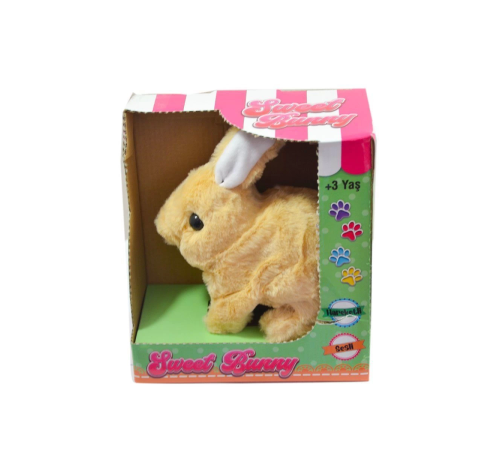 40098 Tavşan Peluş Pilli-Aya Toys