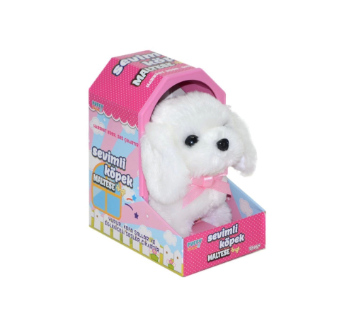 47100 Sevimli Köpek Maltese 47100 Sevimli Köpek Maltese
