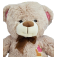 55 CM PELUŞ AYI -HLY