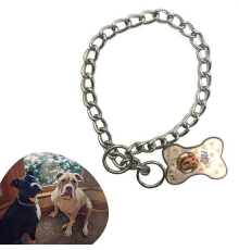 65 cm Uzunlukta Zincir Model Köpek İçin Boyun Tasması