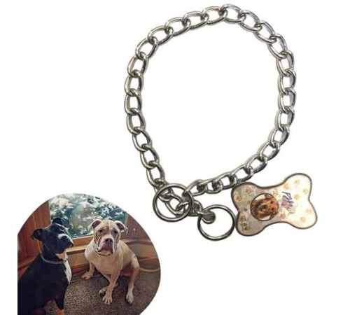 65 cm Uzunlukta Zincir Model Köpek İçin Boyun Tasması 65 cm Uzunlukta Zincir Model Köpek İçin Boyun Tasması