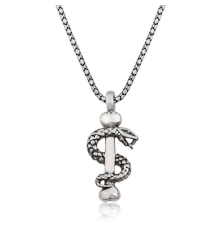 925 Ayar Gümüş Yılan Erkek Gümüş Kolye (T4365) (336336)