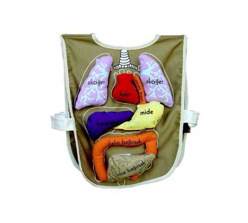 AND-5011 Organ Önlüğü Organlar cırt bantlı