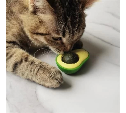 Avokado Model Yapışkanlı Kedi Oyuncağı Yenilebilir Kedi Nanesi Otu Avokado Model Yapışkanlı Kedi Oyuncağı Yenilebilir Kedi Nanesi Otu