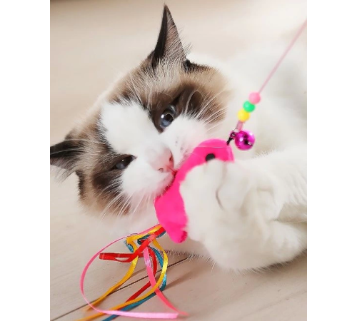 Balıklı Kedi Oyun Oltası 90 Cm Balıklı Kedi Oyun Oltası 90 Cm