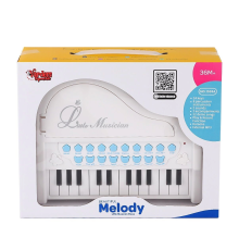 BAO-1505A Mikrofonlu Mini Piano 24 Tuş MP3 Çalar