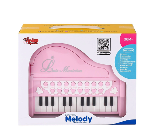 BAO-1505A Mikrofonlu Mini Piano 24 Tuş MP3 Çalar