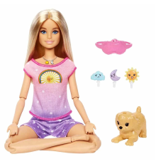 Barbie Meditasyon Yapıyor Oyun Seti HHX64