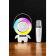 Çift Mikrofonlu Karaoke Mikrofon Bluetooth Bağlantılı Dijital Göstergeli