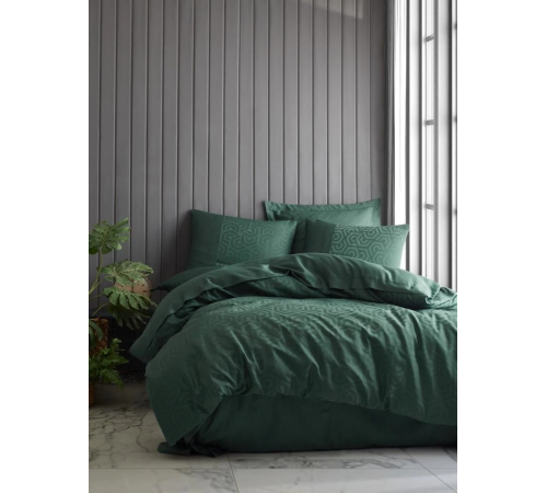 Cotton Box Çift Kişilik Jakarlı Saten Nevresim Takımı Hexa Yeşil Cotton Box Çift Kişilik Jakarlı Saten Nevresim Takımı Hexa Yeşil