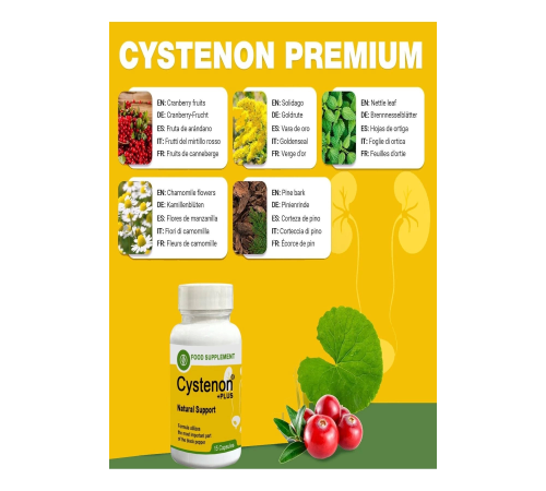 Cystenon Plus Natural Support 15'li X 2 Adet Cystenon Plus Natural Support 15'li X 2 Adet