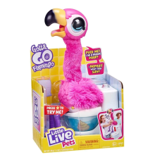 Dans Eden Flamingo LPG00000