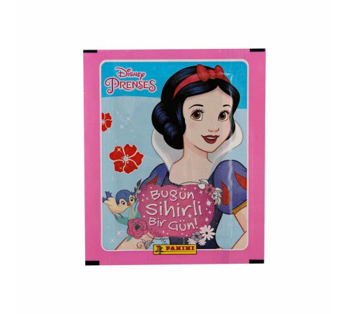 Disney Princess Çıkartma Kartları Disney Princess Çıkartma Kartları