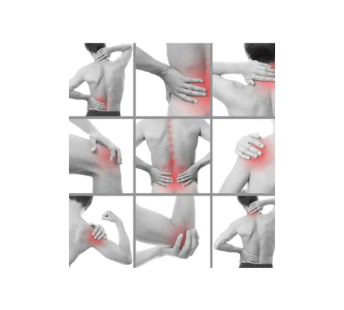Fıtık Son Merhemi Sırt Bel Vucut Sızıları İçin Bakım ve Masaj Kremi x 3 adet Fıtık Son Merhemi Sırt Bel Vucut Sızıları İçin Bakım ve Masaj Kremi x 3 adet