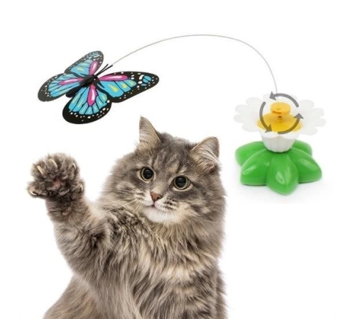 Hareketli Dönen Kelebek - Kedi Oyuncağı ( Pille Çalışır) Hareketli Dönen Kelebek - Kedi Oyuncağı ( Pille Çalışır)