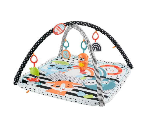 HBP41 Fisher-Price® Neşeli Hayvanlar 3ü1 Arada Jimnastik Merkezi