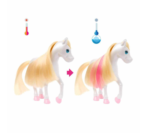 HNT67 Barbie A Touch Of Magic Chelsea ve Pegasus Oyun Seti HNT67 Barbie A Touch Of Magic Chelsea ve Pegasus Oyun Seti