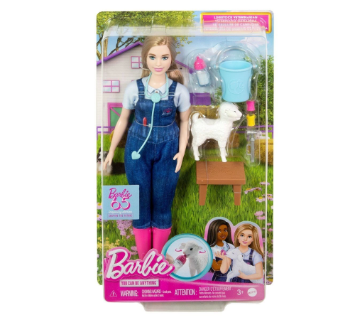 HRG42 Barbie 65. Yıl Deluxe Kariyer Bebekleri - Veteriner