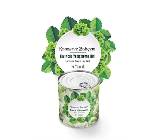 Konserve Bahçem Evde Konservede İri Yapraklı Kıvırcık Yetiştirme Kiti Konserve Bahçem Evde Konservede İri Yapraklı Kıvırcık Yetiştirme Kiti