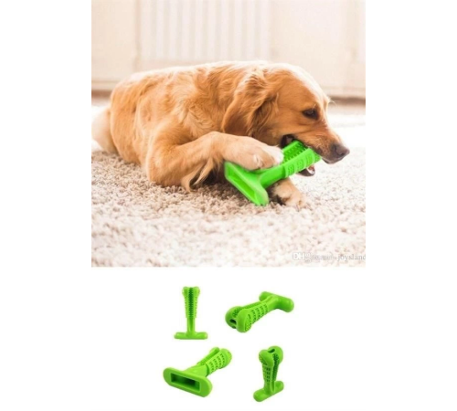 Köpek Diş Temizleyici ve Kaşıyıcı Sağlıklı Küçük Boy Oyuncak Köpek Diş Temizleyici ve Kaşıyıcı Sağlıklı Küçük Boy Oyuncak